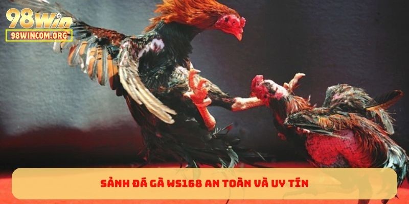 Sảnh đá gà WS168 an toàn và uy tín